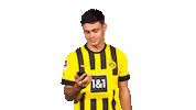 Come On Yes Sticker by Bundesliga