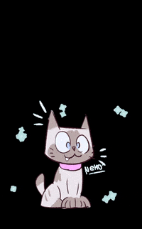 ValdeStudio cat studio gato miau GIF