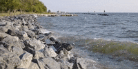 maryland GIF