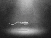 black and white falling GIF by yipan