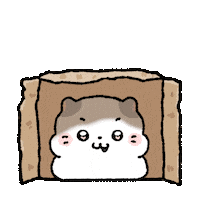 coconyangofficial 고양이 코코냥 coconyang boxcat Sticker