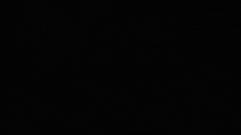 Sweet Life Agave GIF by Dulce Vida Tequila