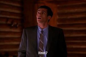 season 2 GIF by Twin Peaks on Showtime