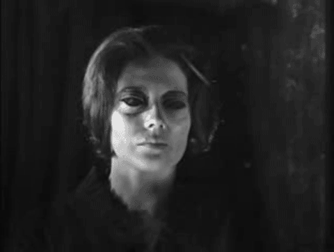 the pule rose of cairo GIF