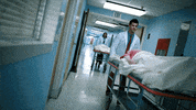 fox tv GIF by ScreamQueens