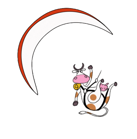 stevehamart giphyupload Sticker
