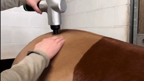 samwhite011a giphyupload GIF