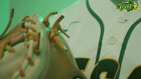 North Dakota State Mustache GIF by NDSU Athletics