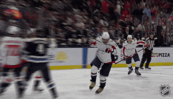 Happy Washington Capitals GIF by NHL