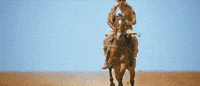 Pawan Kalyan Power GIF by Sharat North America Exhibition