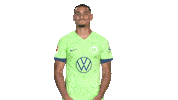 Football Applause Sticker by VfL Wolfsburg