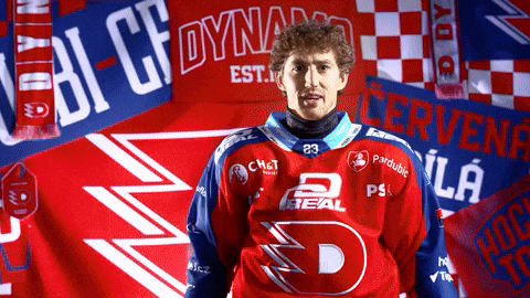 Hockeytown GIF by HC Dynamo Pardubice