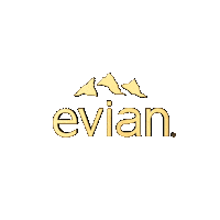 Fashion Gold Sticker by evian