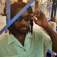 Dems Lunette GIF