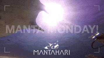Nusa Penida Manta GIF by Mantahari Ocean Care