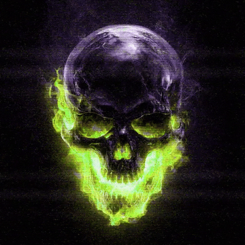 krillwill0 skull flaming skull krillwill older brother core GIF