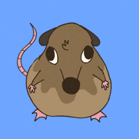 Comedy Pointing GIF