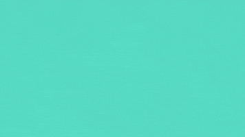 Womens Lacrosse GIF