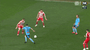 Sydney Fc Chop GIF by Hyundai A-League