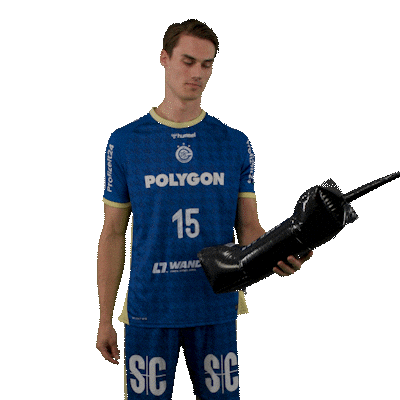 Handball Sticker by DAIKIN HBL