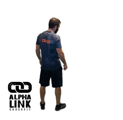 Fitness Workout Sticker by Alpha Link Crossfit