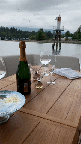 jamaqueparadis giphygifmaker champagne luxury boat GIF