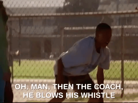 nicksplat nickelodeon GIF