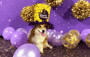 New Year Dog GIF by Planet Fitness