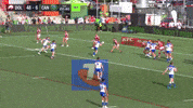 Try Nrl GIF by Canberra Raiders