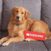 GIF by vidIQ