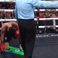 Knockout Kneel GIF by SHOWTIME Sports