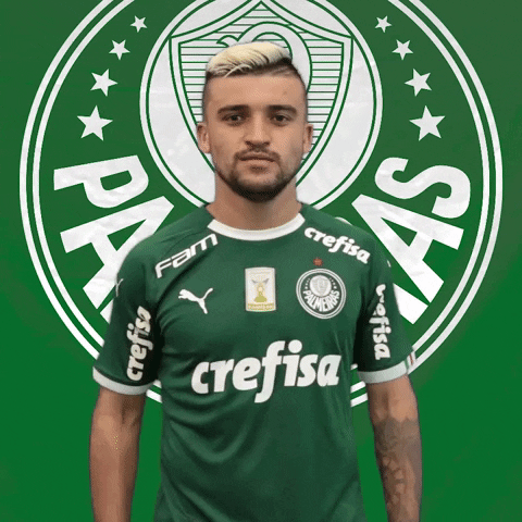 Palmeiras soccer eye futebol victor GIF