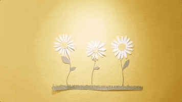 kacey musgraves lyric video GIF