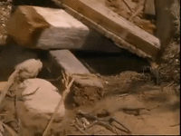 hey dude nicksplat GIF