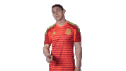 mexico national team no Sticker by MiSelecciónMX