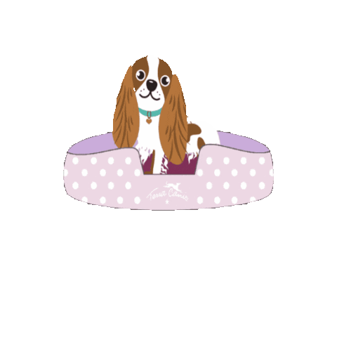 Cavalier King Charles Sticker by Terra Canis