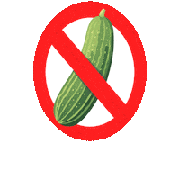 Pickleball Beach Tennis Sticker