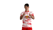 Football Sport Sticker by RB Leipzig