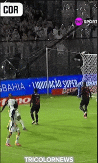 Copa Do Brasil Santos GIF