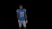 Will No Way GIF by Detroit Lions