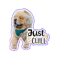 Dogs Relax Sticker by Milagency