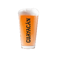 Guayacán Schop Ipa Sticker by Cerveza Guayacán