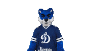 Goal Yes Sticker by Dynamo_ru