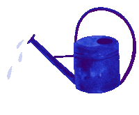 Summer Water Sticker