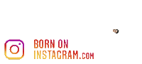 Divyansh401Boi Sticker by BORN ON INSTAGRAM