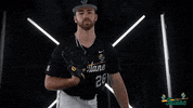 Tulane Rollwave GIF by GreenWave