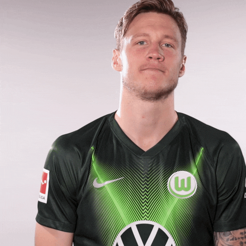 Wout Weghorst Applause GIF by VfL Wolfsburg
