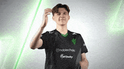 Esports No GIF by Sprout