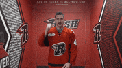 Lets Go Hockey GIF by Rapid City Rush