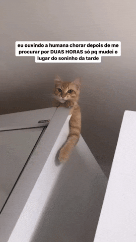 cuteanimalland giphyupload GIF